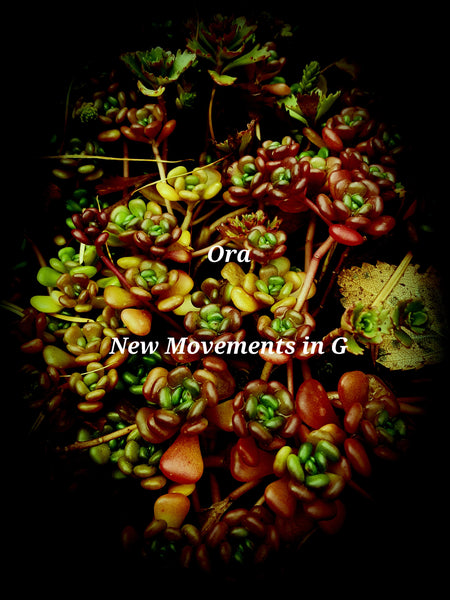 Ora  'New Movements in G'   2 x 12'' Lathe-cut Limited Editon Boxset