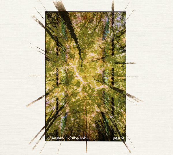 Mouldycliff, Potter, Mouldycliff 'Canopies & Cathedrals' CD