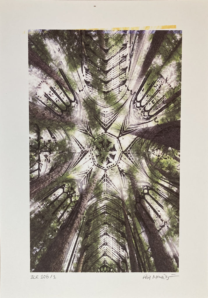 Mouldycliff, Potter, Mouldycliff 'Canopies & Cathedrals'  Limited Edition with Print
