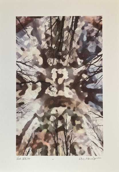 Mouldycliff, Potter, Mouldycliff 'Canopies & Cathedrals'  Limited Edition with Print