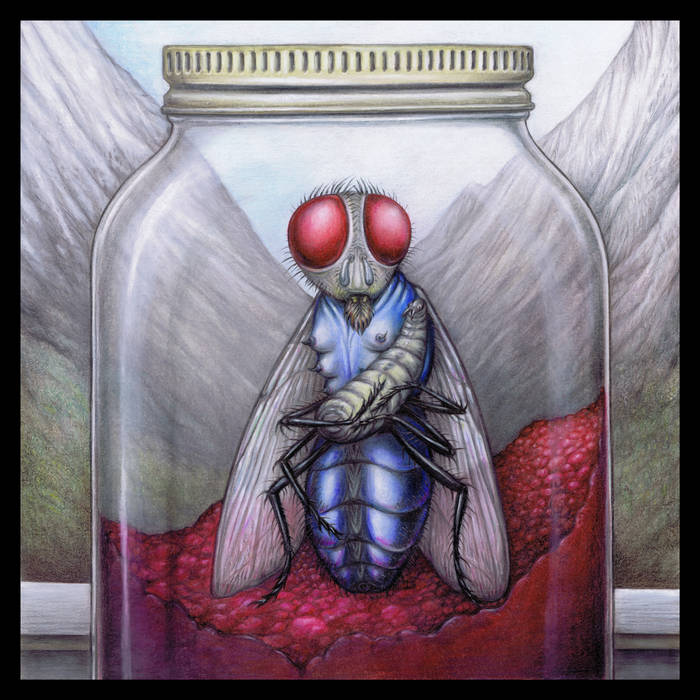 Diana Rogerson  'blue bottle in a jam jar'  CD