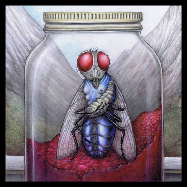 Diana Rogerson  'blue bottle in a jam jar'  CD