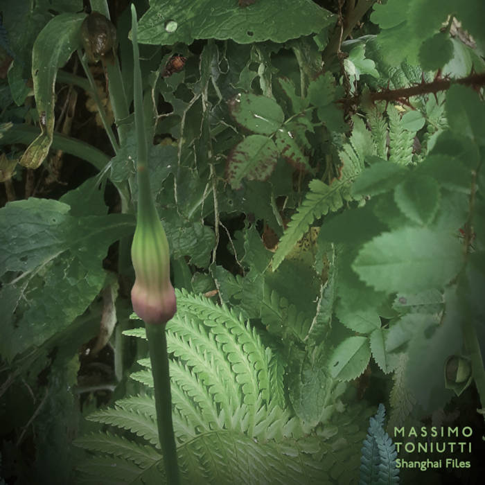 Massimo Toniutti  'Shanghai Files'  CD