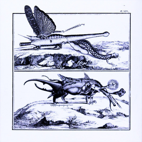 irr.app.(ext.) 'Matériaux Déplacés' 2CD