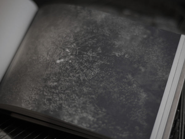 Minazuki 'From Dust to Stars' Ltd.Ed. CD & Book