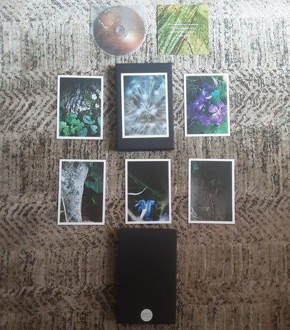Darren Tate  'A Strange Artifact'  Ltd.ed. Boxset