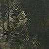 Andrew Chalk 'Mystical Obscurant' LP