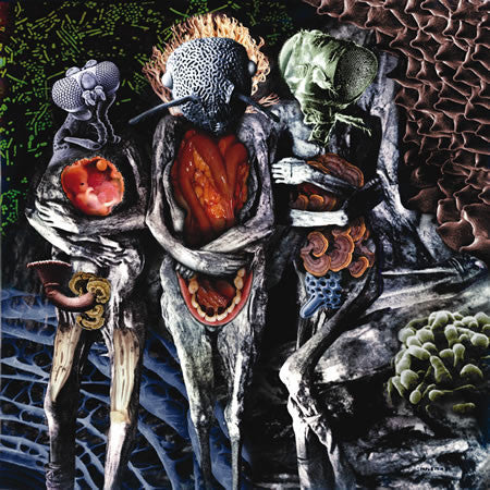 Nurse With Wound – Insect And Individual Silenced
