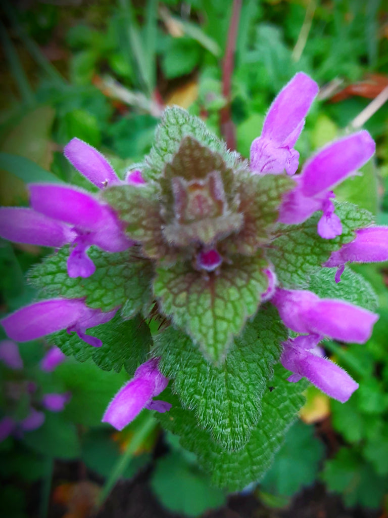 Darren Tate Rotate Limited Edition CDR Print Postcards REDUCED P Darren Tate Rotate Limited Edition CDR Print Postcards REDUCED P