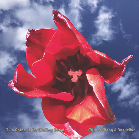 Michael Begg & Hans Joachim Roedelius  'Two Gather In The Waiting Room' CD