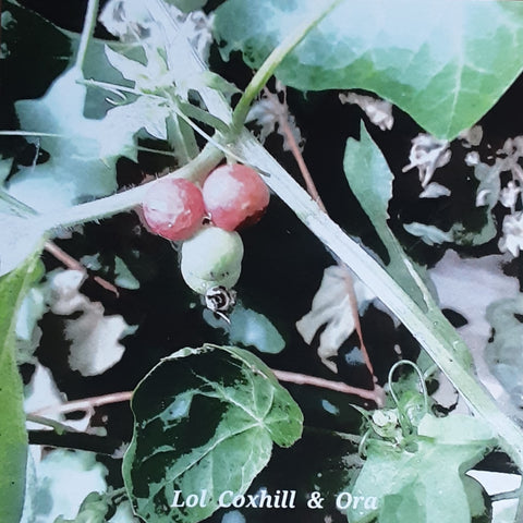 Lol Coxhill & Ora  CDR